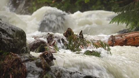 Flood on the wild mountain stream. Stock Footage 123300128