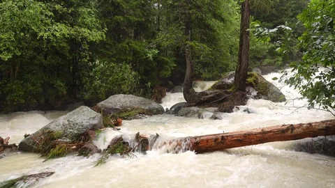 Flood on the wild mountain stream.\ Stock Footage 123302118