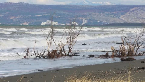 Flooded Adriatic Lowlands With Leafless Trees and Sandy Shoreline Drowning 스톡 동영상 331147828