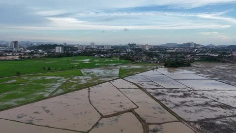 Flooded Agricultural Fields and Cityscape Under Cloudy Sky Vídeos de archivo 344819664