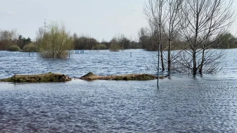 Flooded area with trees in spring Vídeo Stock 329091225