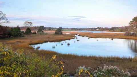 Flooded autumnal marshland in Cape Cod USA Stock Footage 293229602