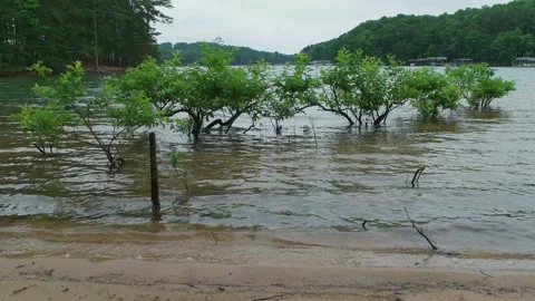 Flooded beach at the lake Stock Footage 132357744