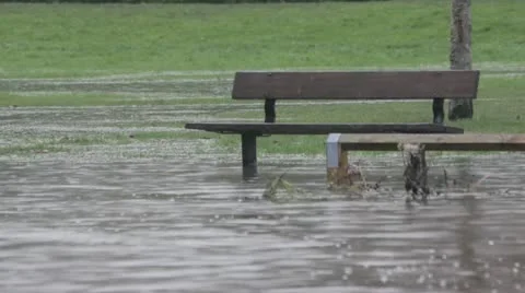 Flooded bench close up Video stock 12671834