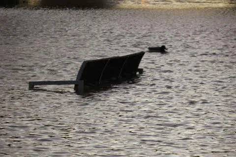 Flooded bench Stock Photos