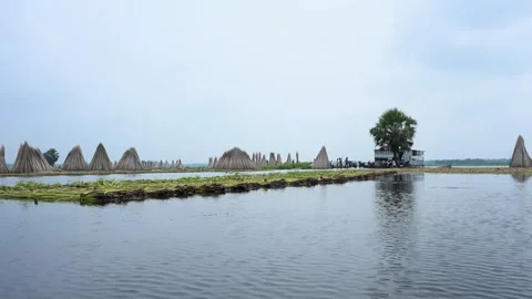 Flooded Bortir Bil in North 24 Parganas, West Bengal, India Stock Footage 342226462
