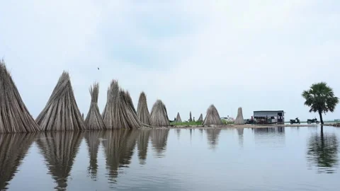 Flooded Bortir Bil in North 24 Parganas, West Bengal, India. Stock Footage 342226599