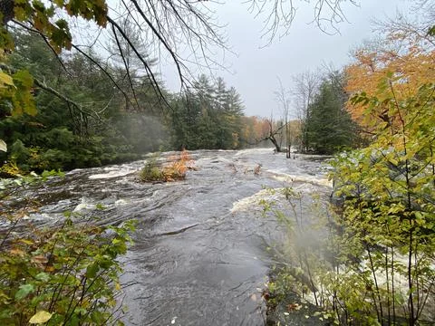 Flooded Cascade Park Stock Photos