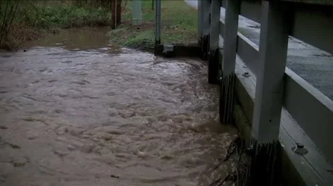 Flooded creek  Stock Footage 904775
