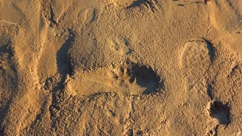 Flooded dolomite quarry Stock Footage 250930576