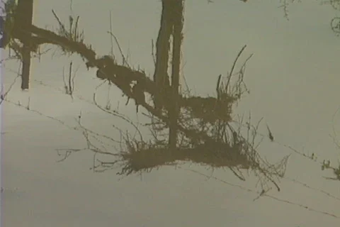 Flooded farm 01 Stock Footage 644570