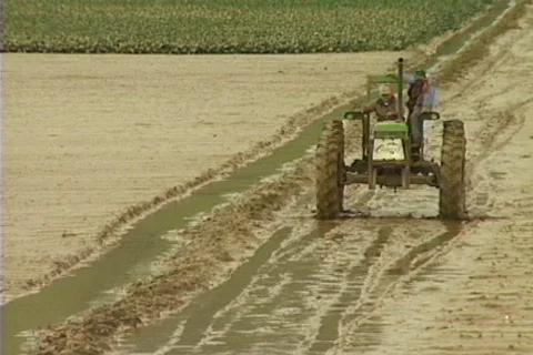 Flooded farm 02 Stock Footage 644562