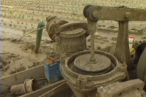 Flooded farm 06 Stock Footage 644533