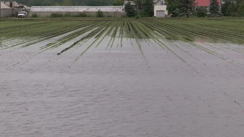 Flooded farm fields and crops damaged after heavy rain storm in Bradford Canada Stock Footage