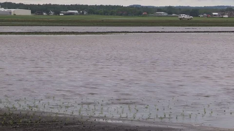 Flooded farm fields and crops damaged after heavy rain storm in Bradford Canada Stock Footage