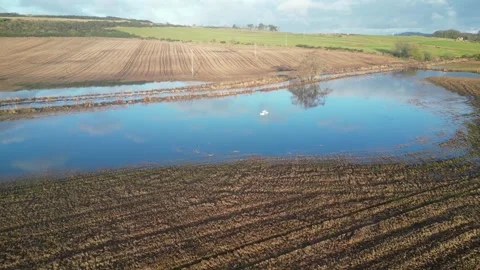 Flooded farm fields Mains of Drum Aberdeenshire. 13/12/2023 Stock Footage 302455285