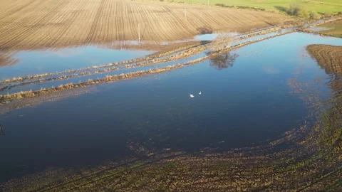 Flooded farm fields Mains of Drum Aberdeenshire. 13/12/2023 Stock Footage 302455306