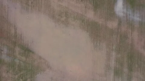Flooded farmland causing crop rot and agricultural damage Stock Footage 327481056