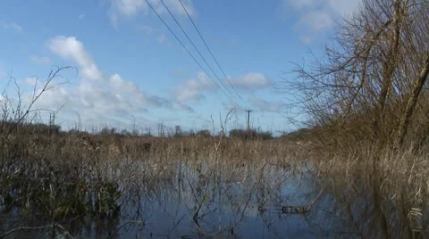 Flooded field 1 Video stock 33876481