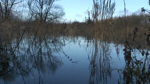 Flooded field 2 Video stock 33876862
