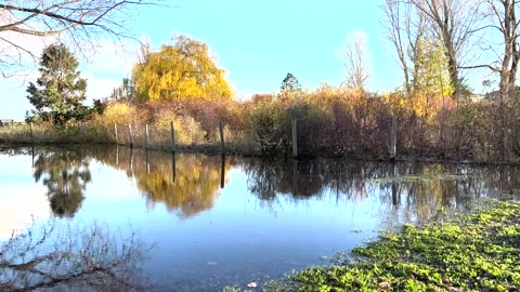 Flooded Field, Centennial Park, Nov 19-2021 Stock Footage 165581026