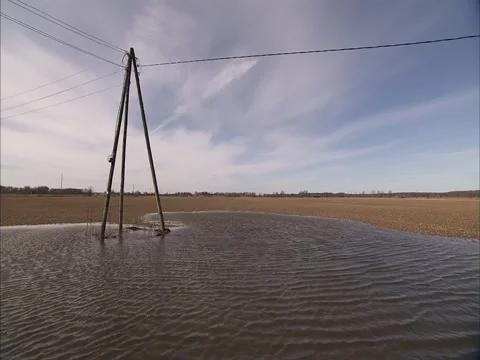 Flooded Field Stock Footage 2319163