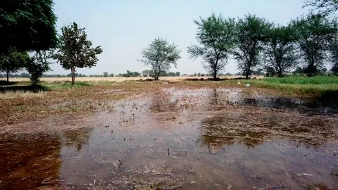 Flooded field Video stock 90680126
