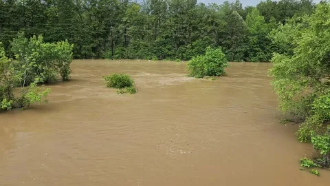 Flooded Field Stock Footage 274367091