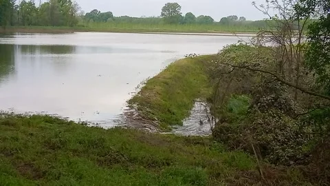 Flooded field Stock Footage 307099269