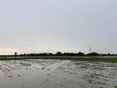 Flooded Field Under Dramatic Sky with Power Lines Stock Photos