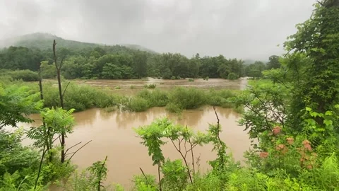 Flooded field in Vermont Stock Footage 245871663