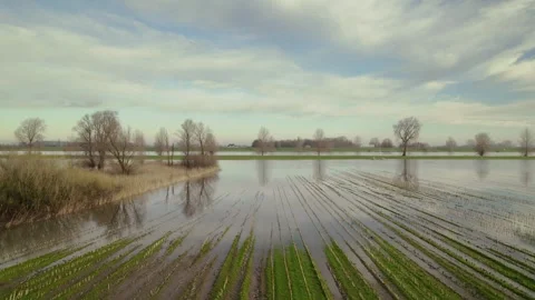 Flooded fields in Dutch landscape Stock Footage 289907566