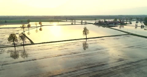 Flooded fields Video stock 105704754