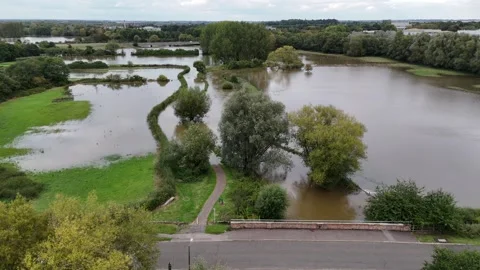 Flooded fields Stock Footage 311197249
