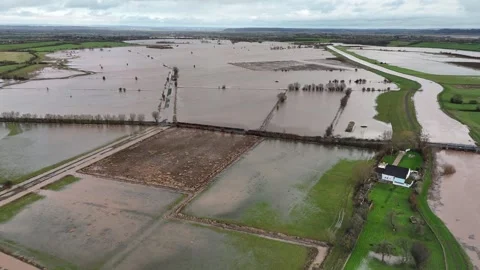 Flooded fields near the River Tone in Somerset Stock Footage 297083698