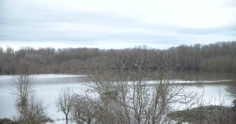Flooded fields pan left 動画素材 147750682