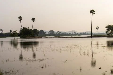 Flooded fields Stock Photos