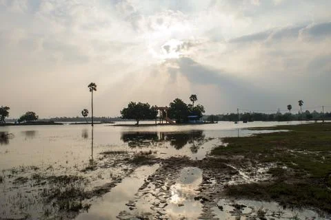 Flooded fields Stock Photos