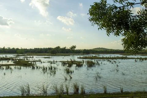 Flooded fields Stock Photos