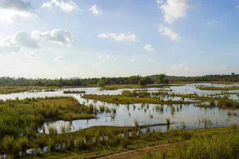 Flooded fields Stock Photos