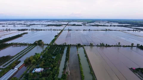 Flooded fields preparing for new cultivation Stock Footage 340000430