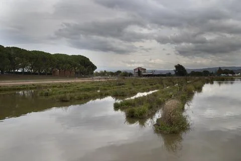 Flooded fields reflecting cloudy sky near rural building Stock Photos