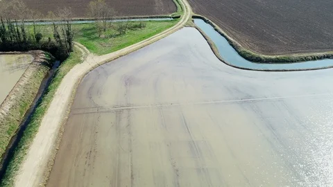 Flooded fields for rice cultivation Video stock 106142588
