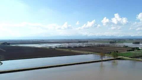 Flooded fields for rice cultivation Video stock 106142854
