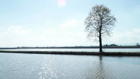 Flooded fields for rice cultivation Stock Footage 106142858
