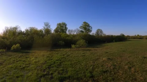 Flooded fields, river flooding, flooded forests, swampy places, drone shooting Stock Footage 242523648