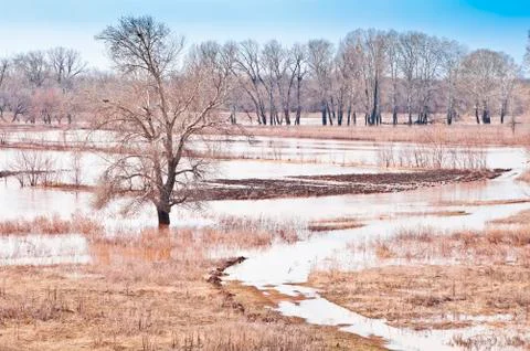 Flooded fields. Spring flooding Stock Photos