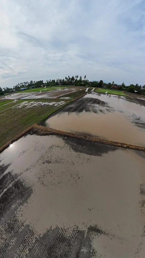 Flooded fields stretch under cloudy skies Stock Footage 345409723