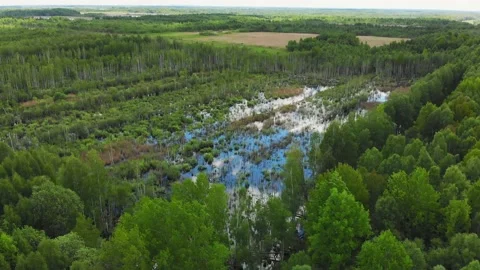 Flooded flood plain field and forest in wild landscape. High altitude wide dr Stock Footage 157490034