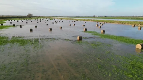 Flooded Floodplain, UK Stock Footage 260409611